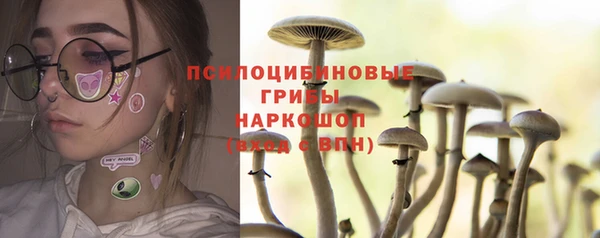 каннабис Беломорск