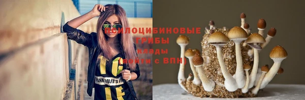 альфа пвп Белокуриха