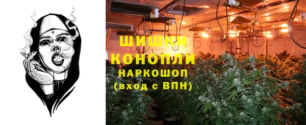 каннабис Беломорск