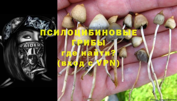 каннабис Беломорск