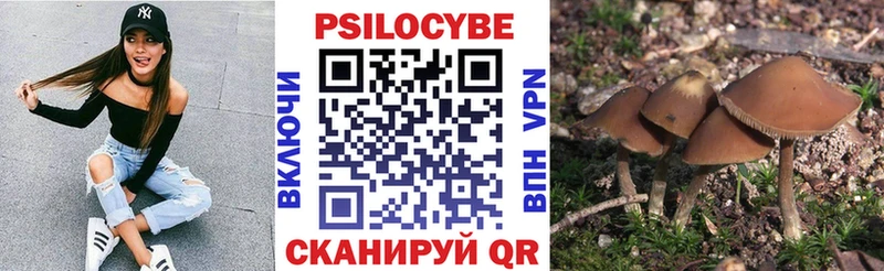 блэк спрут рабочий сайт Белоусово Галлюциногенные грибы Magic Shrooms